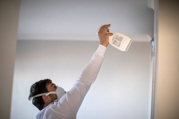 Best Commercial Mold Removal  in Ashwaubenon, WI