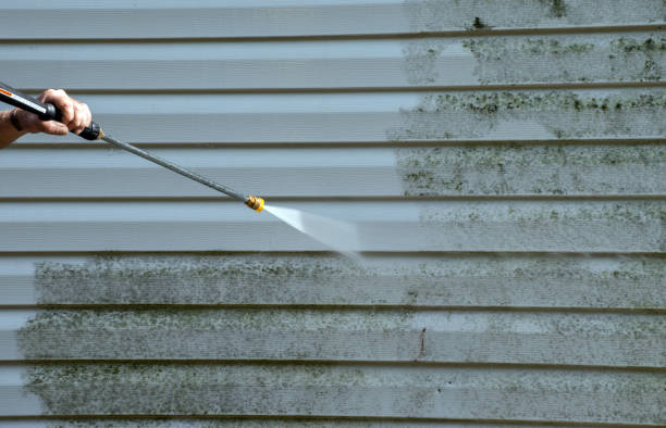 Best Toxic Mold Removal  in Ashwaubenon, WI